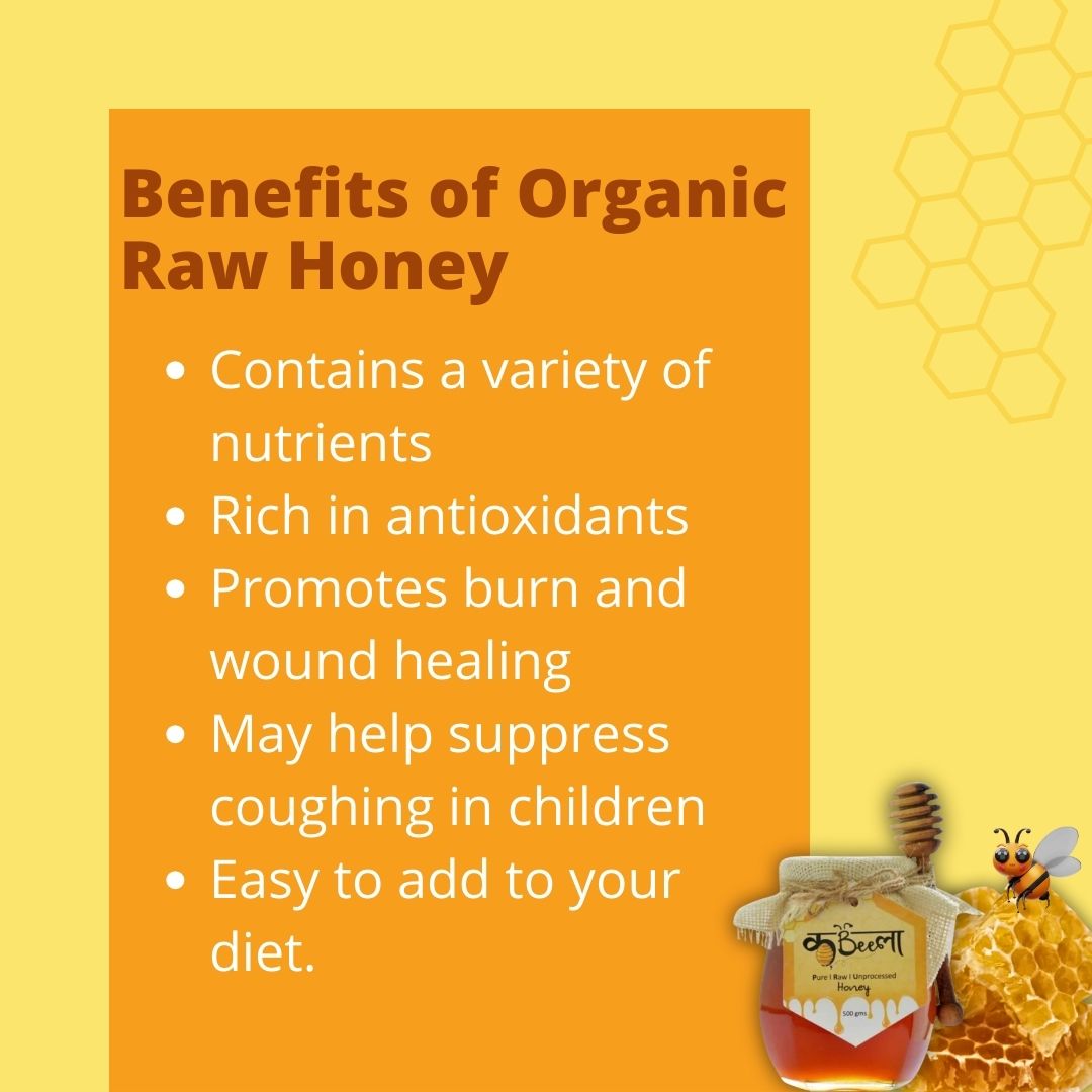 Organic Raw Honey | 100% Natural (1kg Pack)