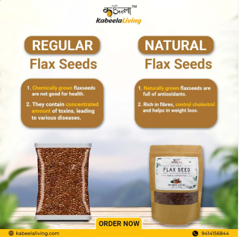 Natural Flax Seeds (Alsi) | Raw Unroasted | Rich in Omega-3 Fatty Acids | Protein and Fibre Rich Super Food ( 250 gm )