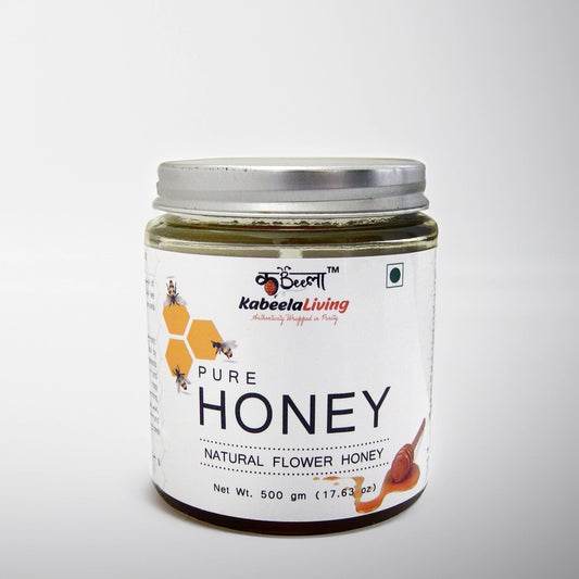 Pure Original Honey | Pure Flower Honey | Pure Raw Unprocessed Original Honey  (500gms)